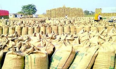 खरीफ विपणन वर्ष 2023-24 : समर्थन मूल्य पर धान एवं मक्का खरीदी के लिए किसानों का पंजीयन 31अक्टूबर तक